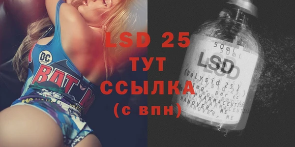 прущие грибы Заволжск