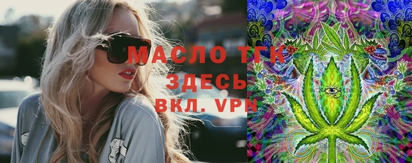 индика Баксан