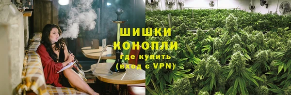 индика Баксан