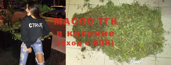 индика Баксан