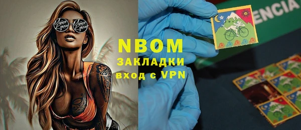 индика Баксан