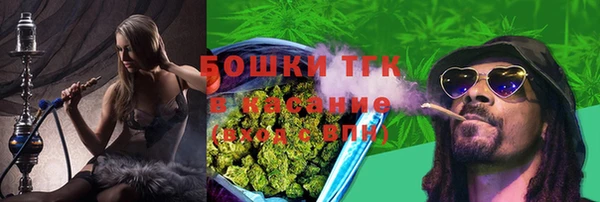 индика Баксан