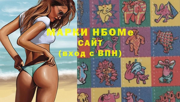 индика Баксан